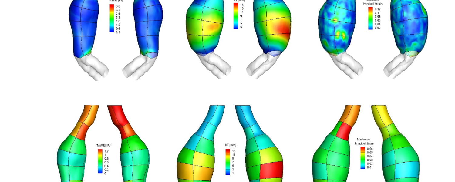 AAA-CFD