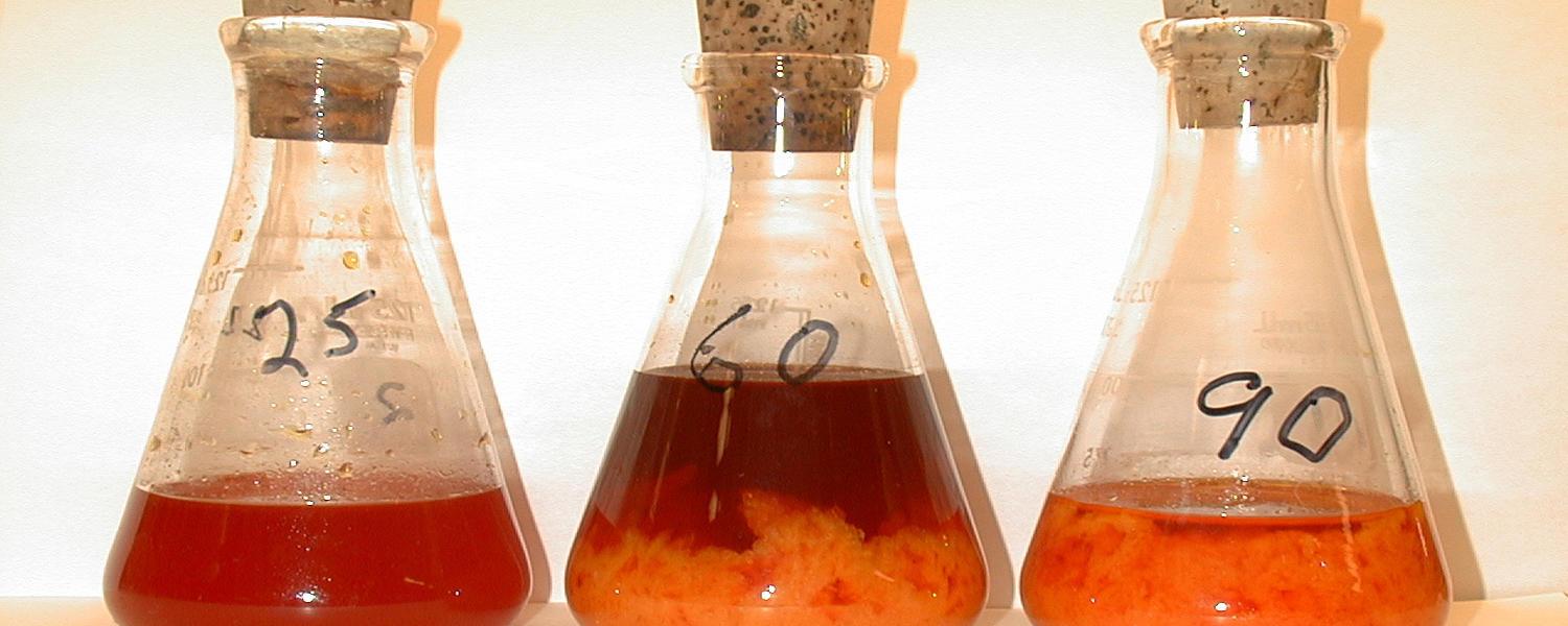 Sulfur Solvents and Hydrogen Sulfide Scavengers Testing