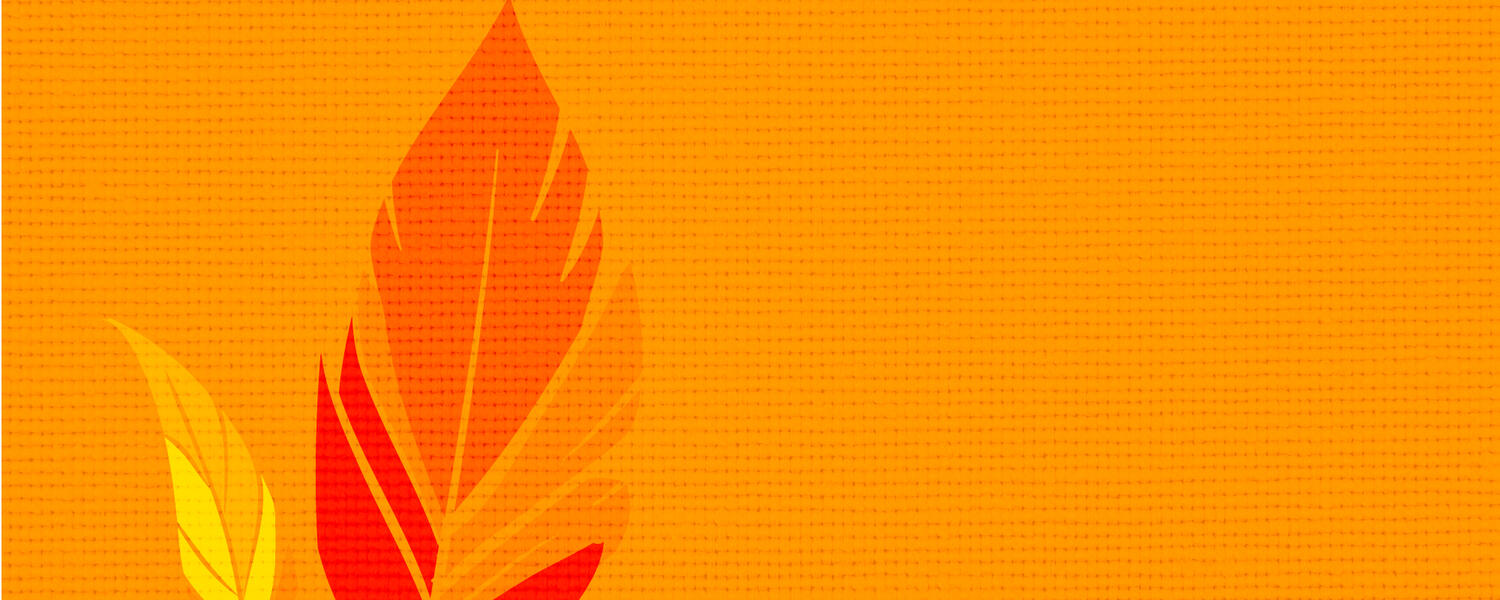 orange background with two feathers
