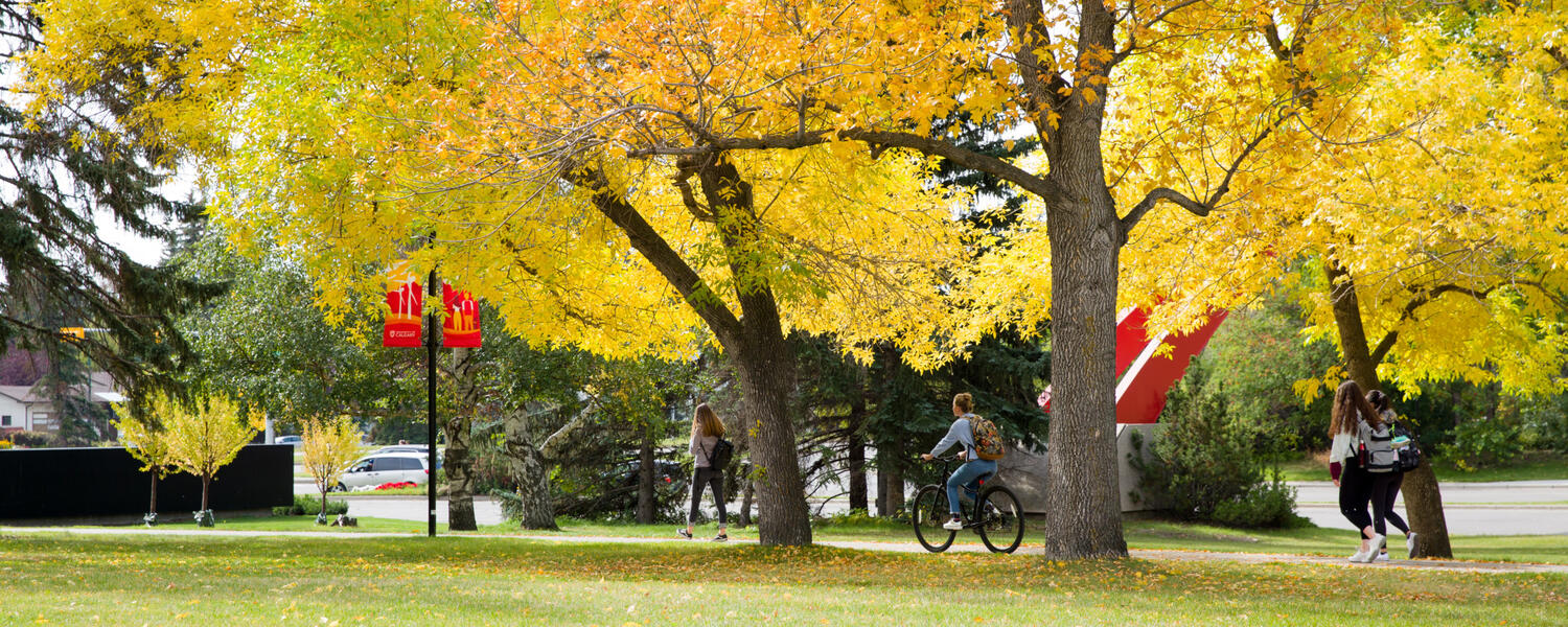 Campus pathway during Autumn. 