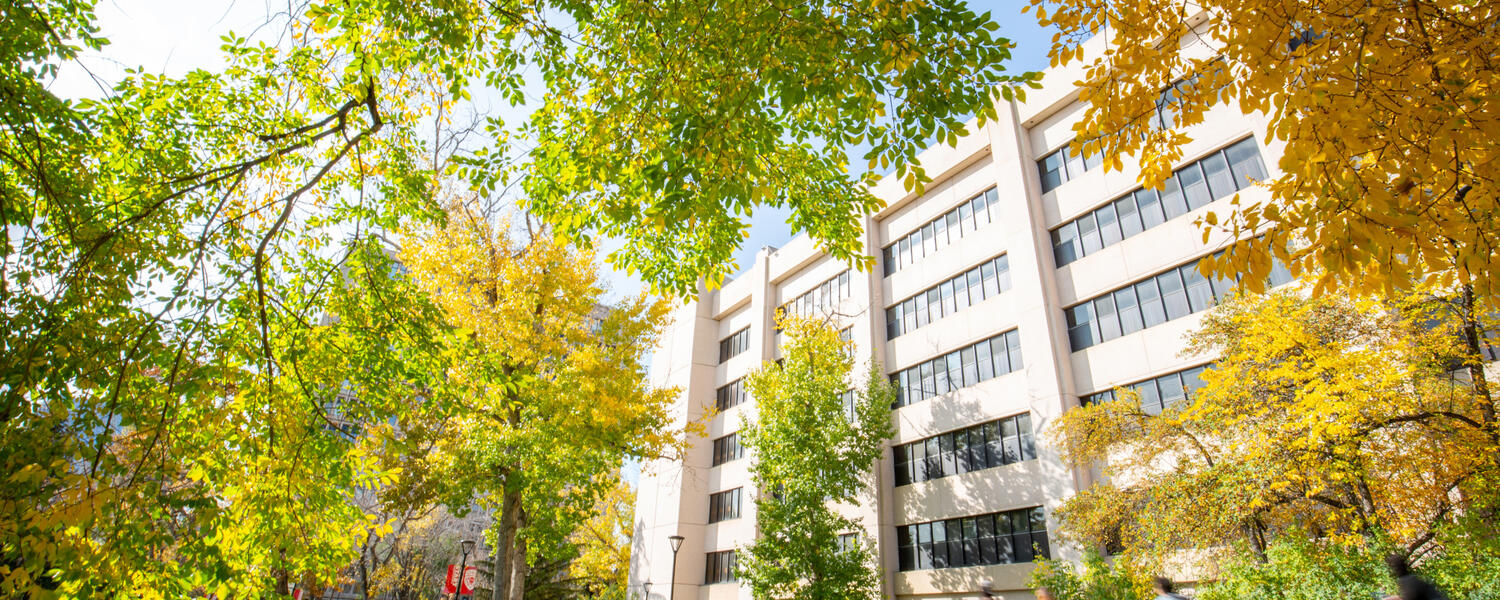 UCalgary campus in the fall