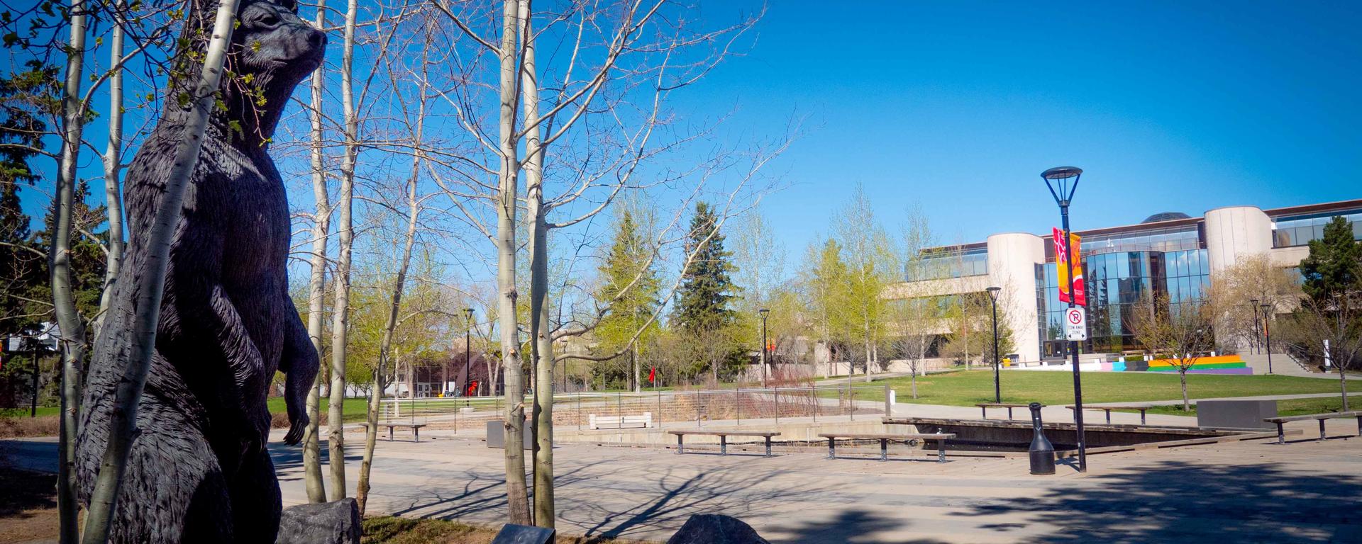 UCalgary Campus