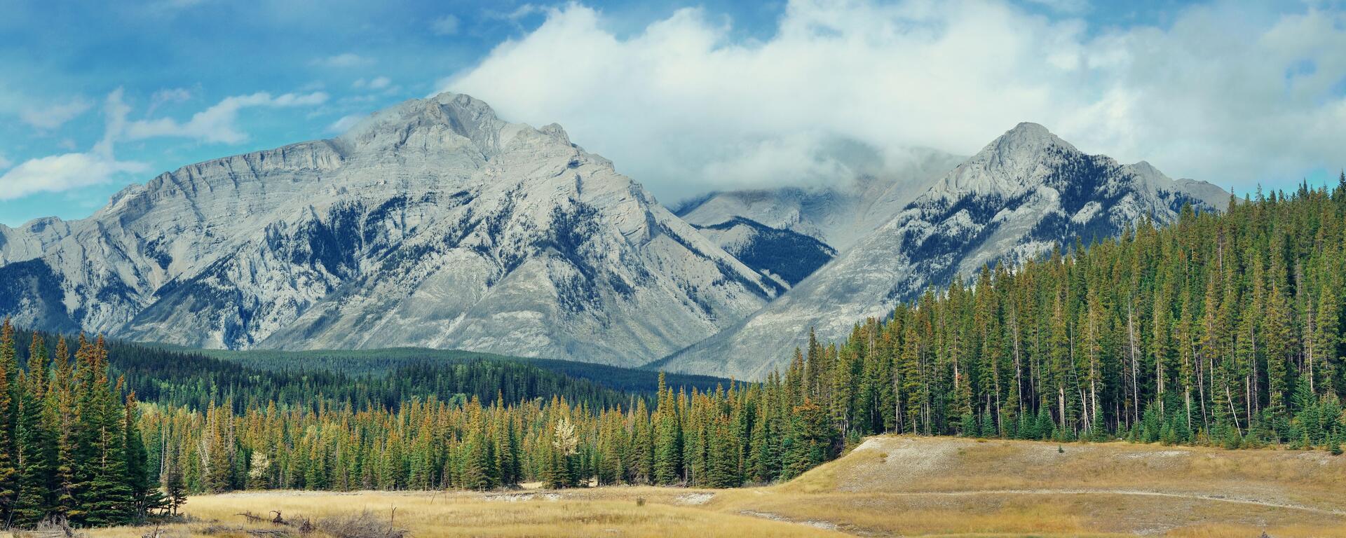 Mountain landscape of Alberta