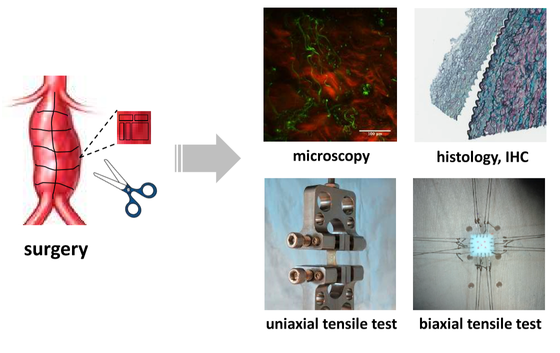 AAA_methodology