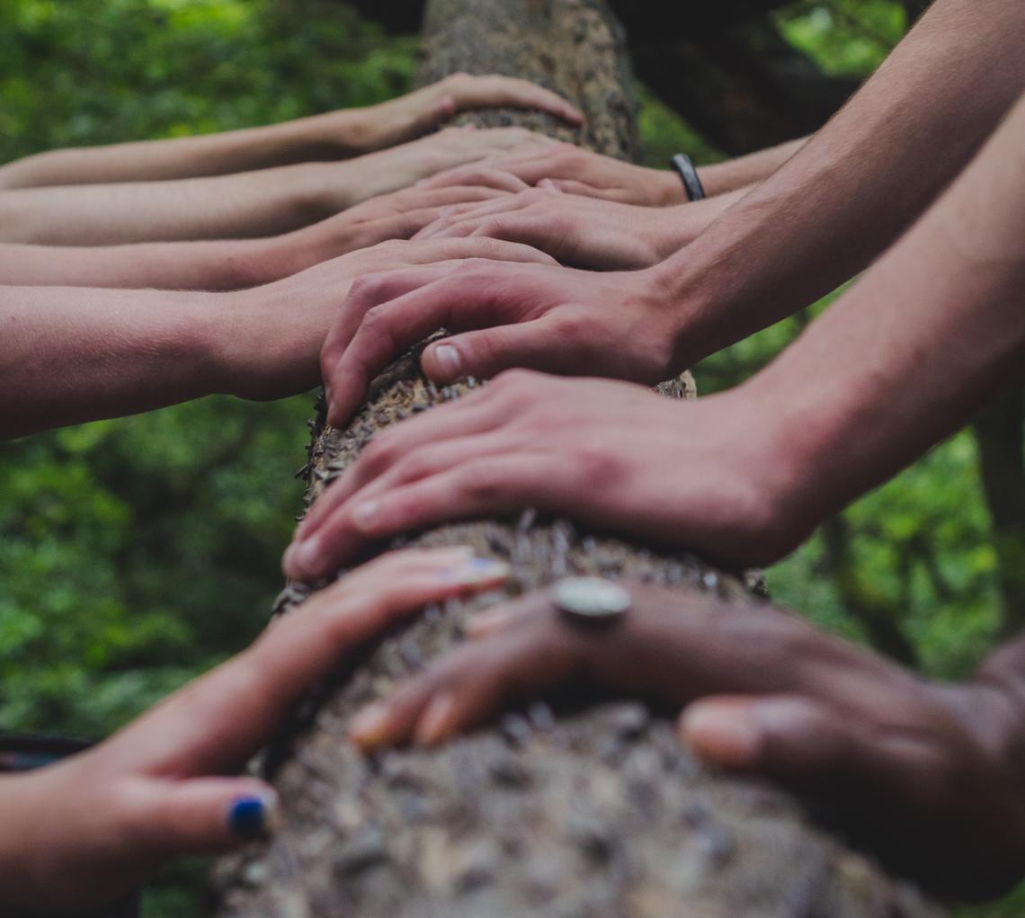 Hands supporting a tree
