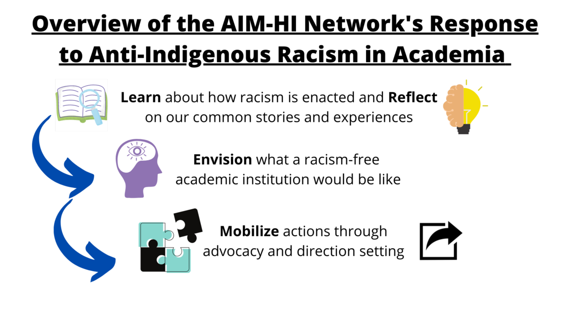 Overview of AIM-HI Network's Response