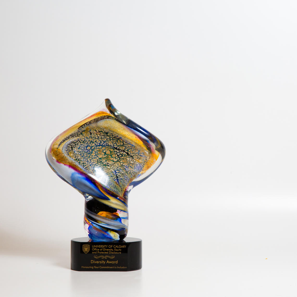 Diversity Award Trophy