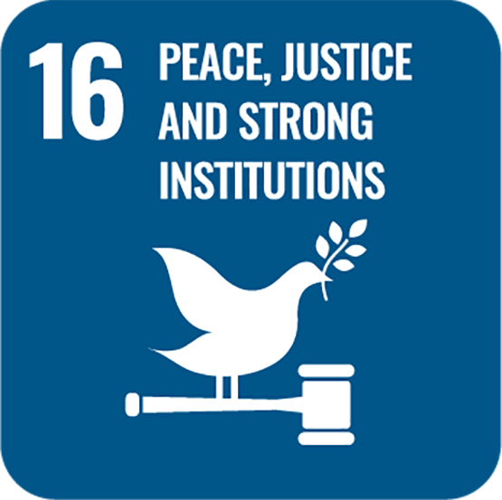 16: Peace, Justice and Strong Institutions