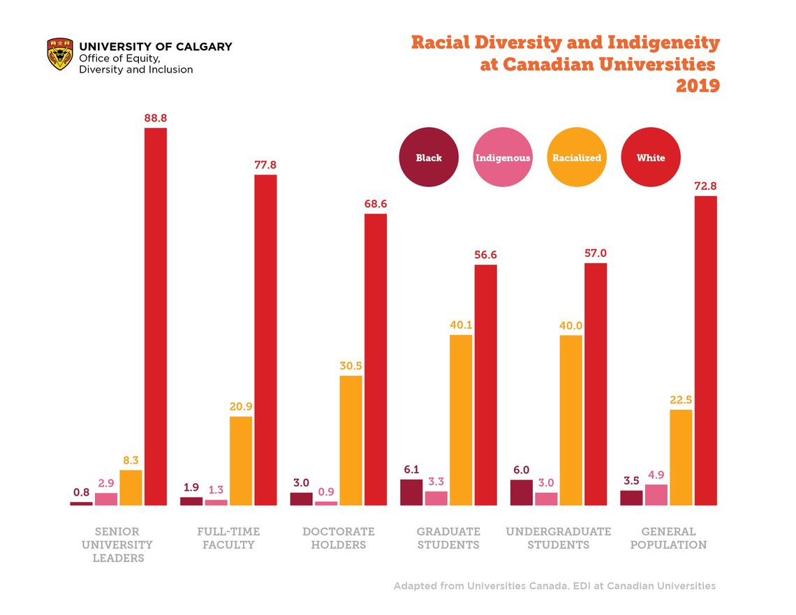 Racialized and Indigenous Representation at Canadian Universities 2019