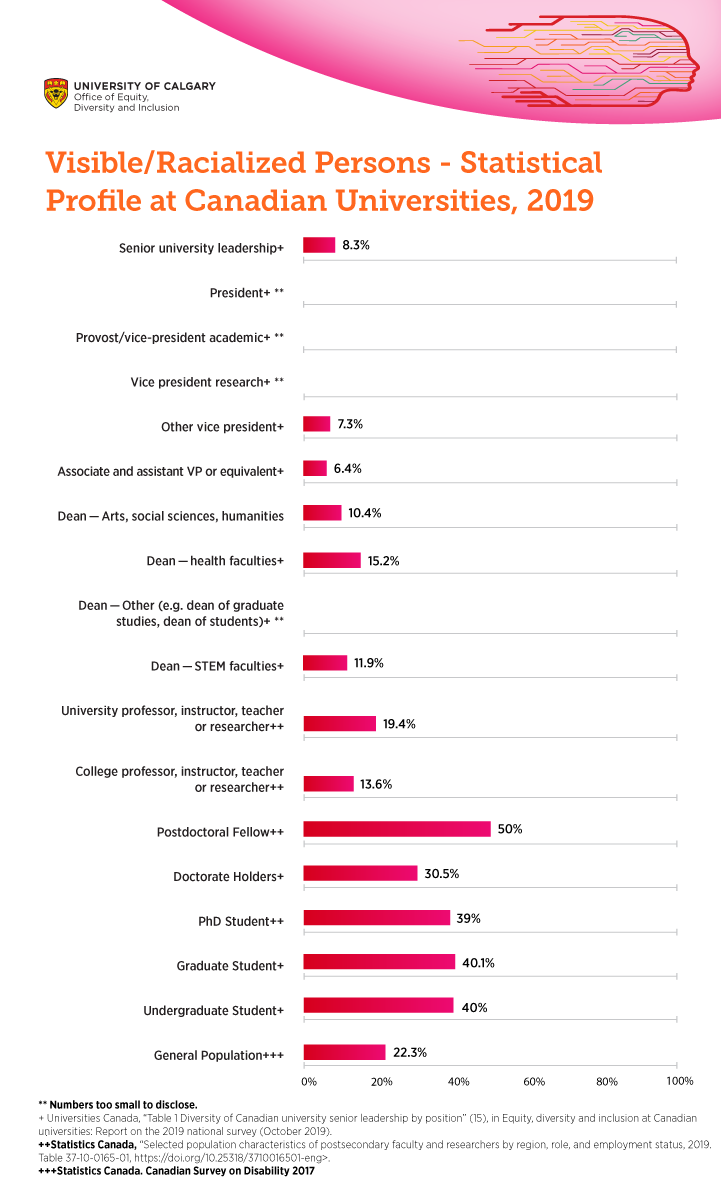 Visible/Racialized Persons - Statistical Profile at Canadian Universities, 2019