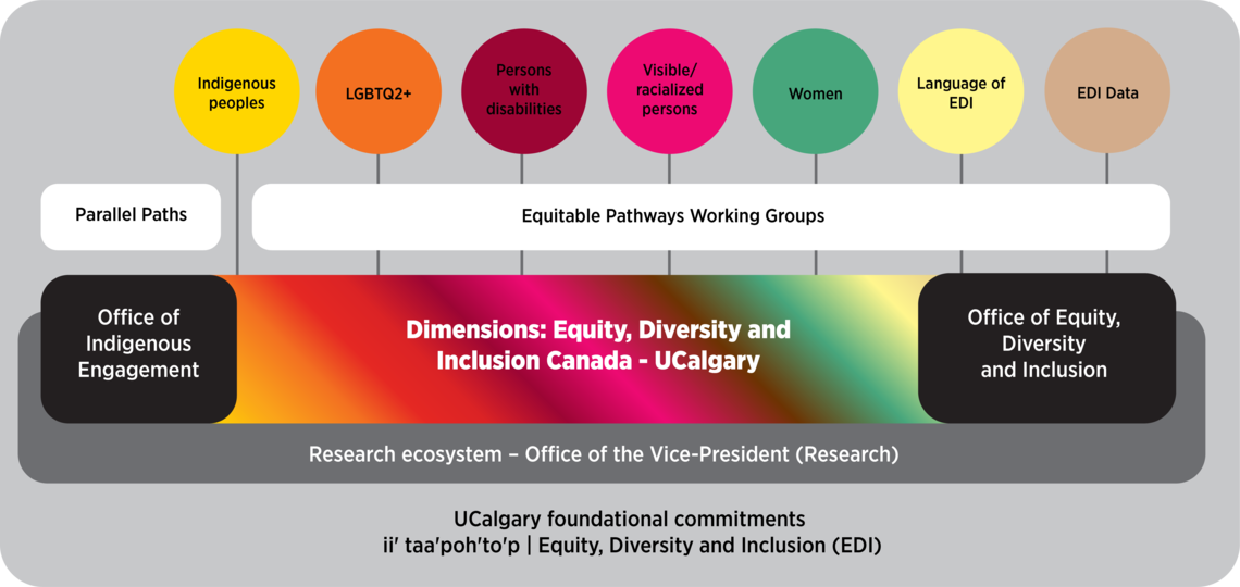 Dimensions working groups