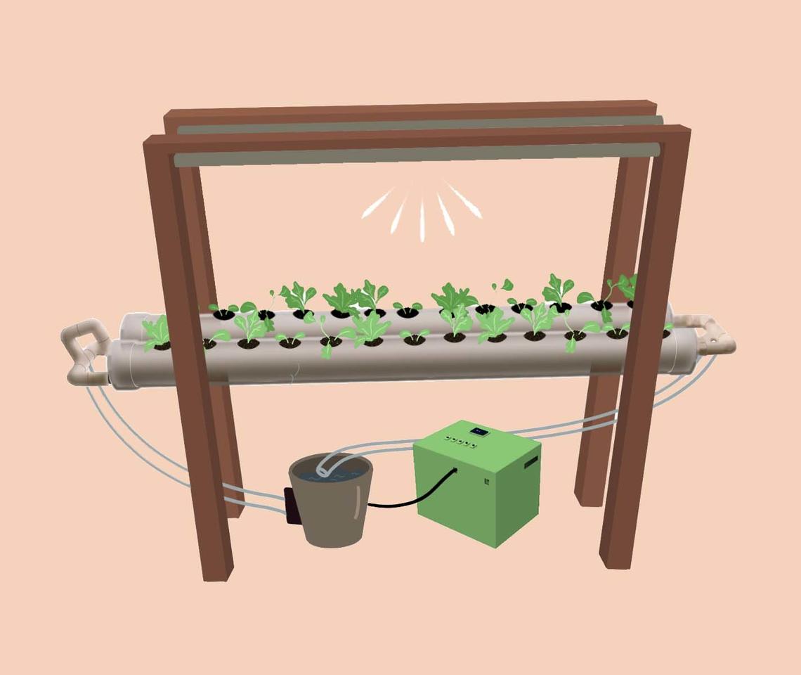 A hydroponic design containing plants in a hydroponic station