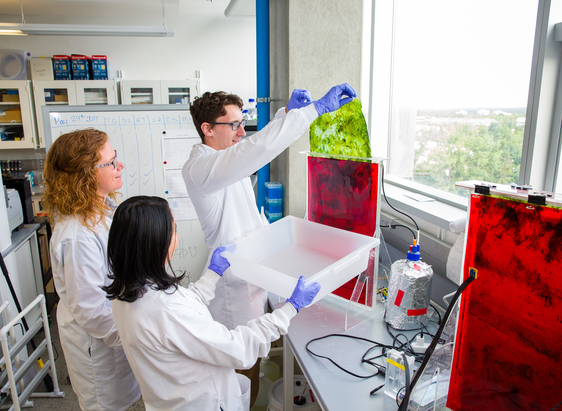 Three scientists with white coats in the lab