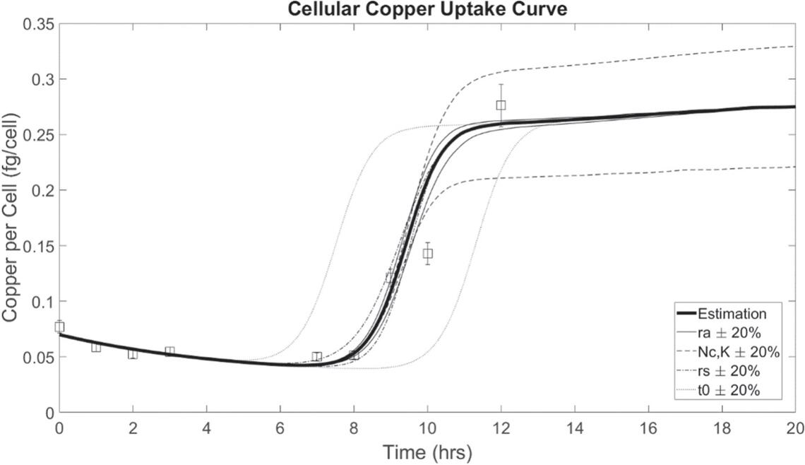 Plot showing the model prediction for the uptake of copper by Saccharomyces cerevisiae.