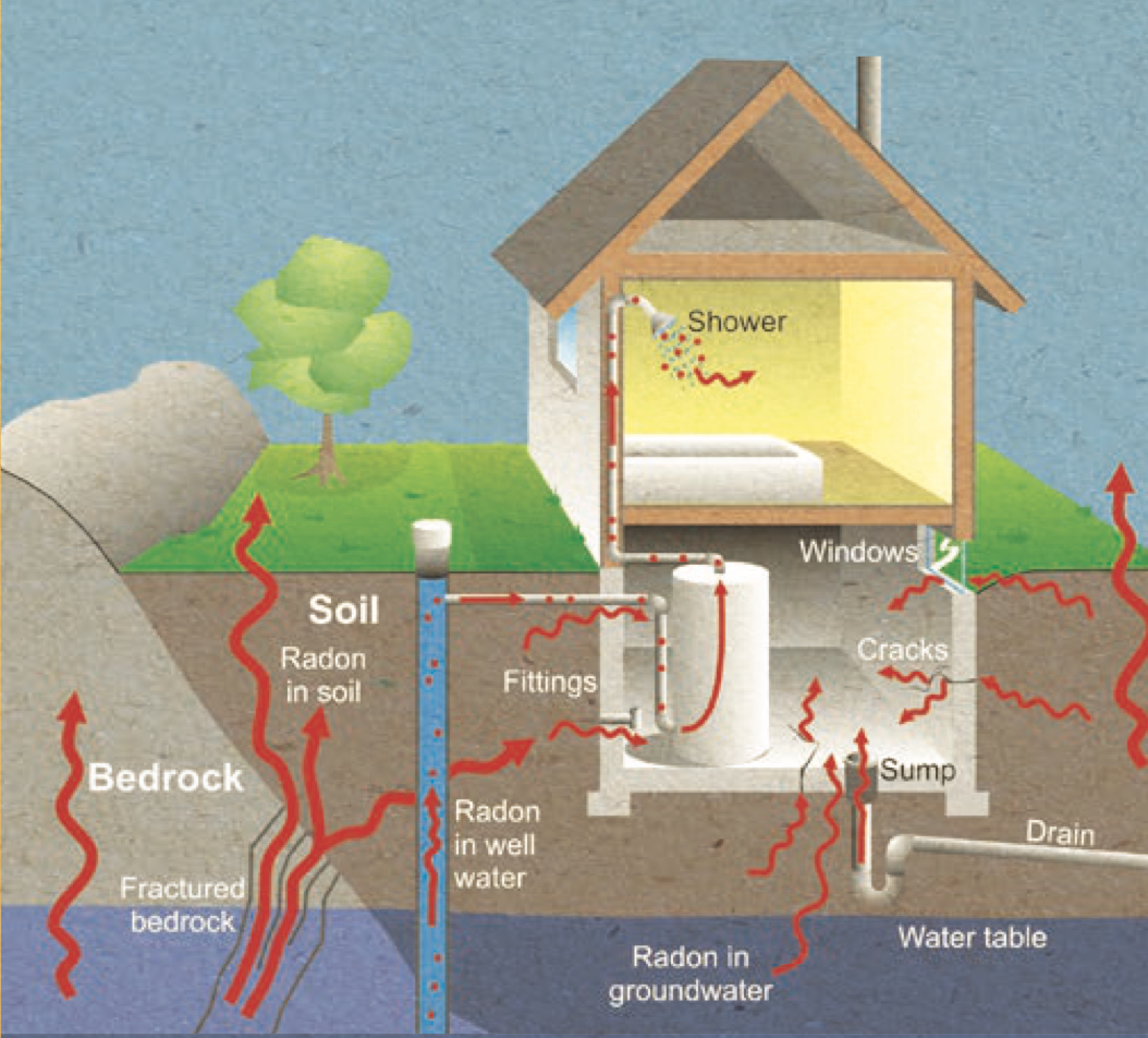 Cartoon image of a house showing paths for radon to enter.