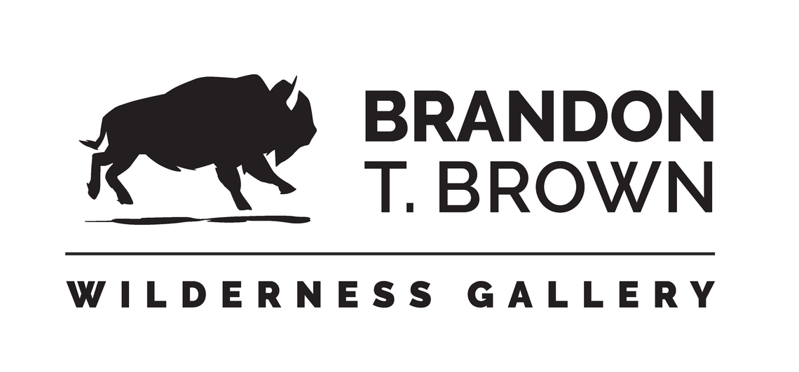 Brandon T. Brown Wilderness Gallery