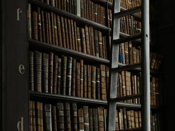 Shadowed image of a tall ladder beside a shelf full of leather-bound books