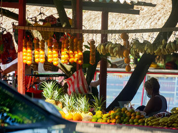 Close-up of a fruit stand with hanging tropical fruits and a row of pineapples