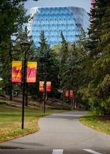 walkway on main campus during fall