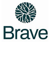 Brave logo Logo