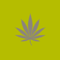 Grey outline of a cannabis leaf on a green background